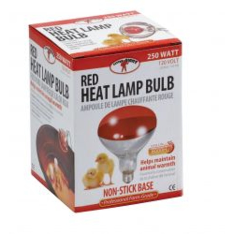 Little Giant Red Heat Lamp Bulb 250 Watt