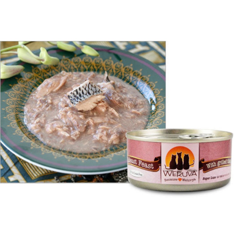 Weruva Classic Cat Wet Cat Food – Mideast Feast with Grilled Tilapia in Gravy – 10oz Can