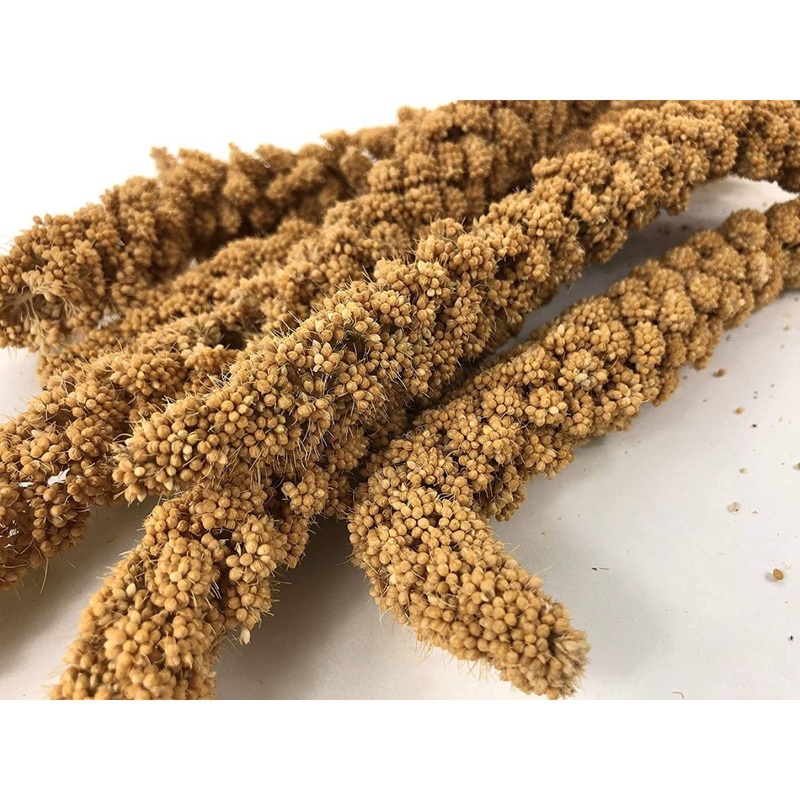 Millet Sprays 25lb