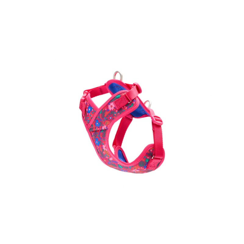 RC PETS Dog Petite Explorer Harness, Frida, XS, 10 – 15