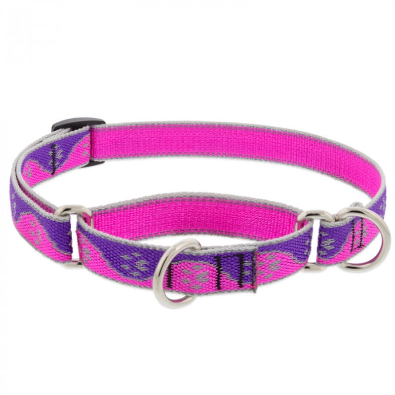 Lupine Dog Collar Martingale 3/4 Wide X 14-20 Neck Size Pink Paws