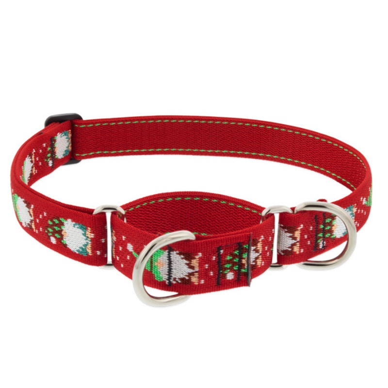 Lupine Martingale Training Dog Collar 1 Wide 19-27 Neck Size Gnomes
