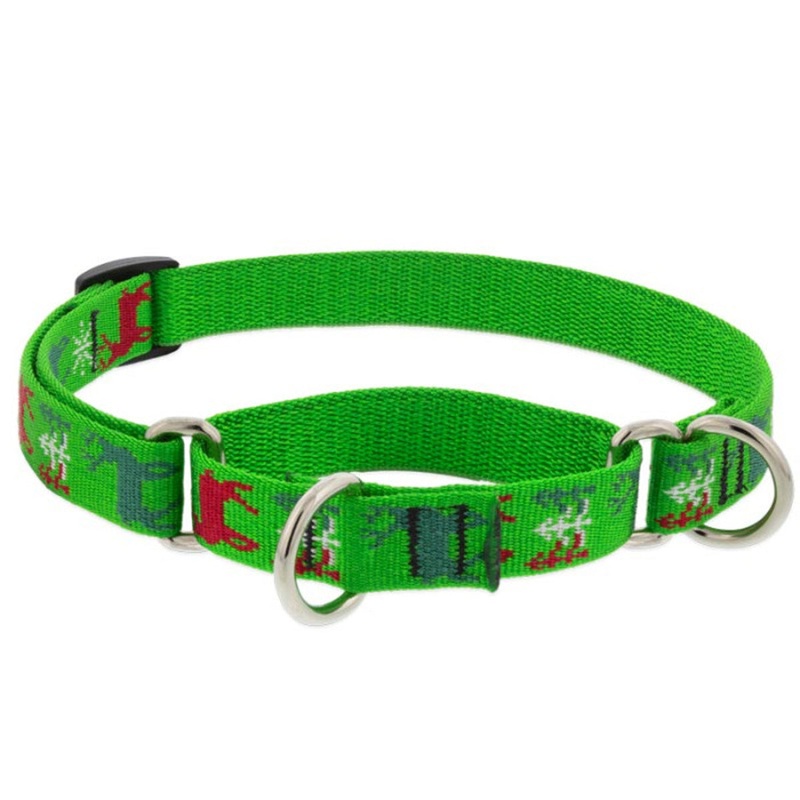 Lupine Martingale Training Dog Collar 3/4 Wide 10-14 Neck Size Happy Holidays Green