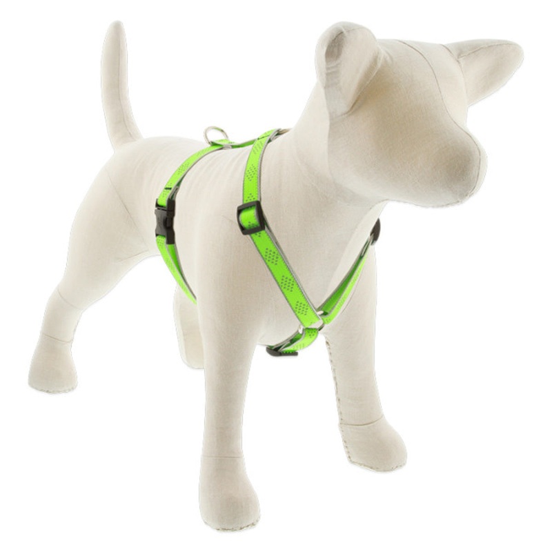 Lupine Reflective Roman Dog Harness 3/4 Wide 12-20 Girth Green Diamond