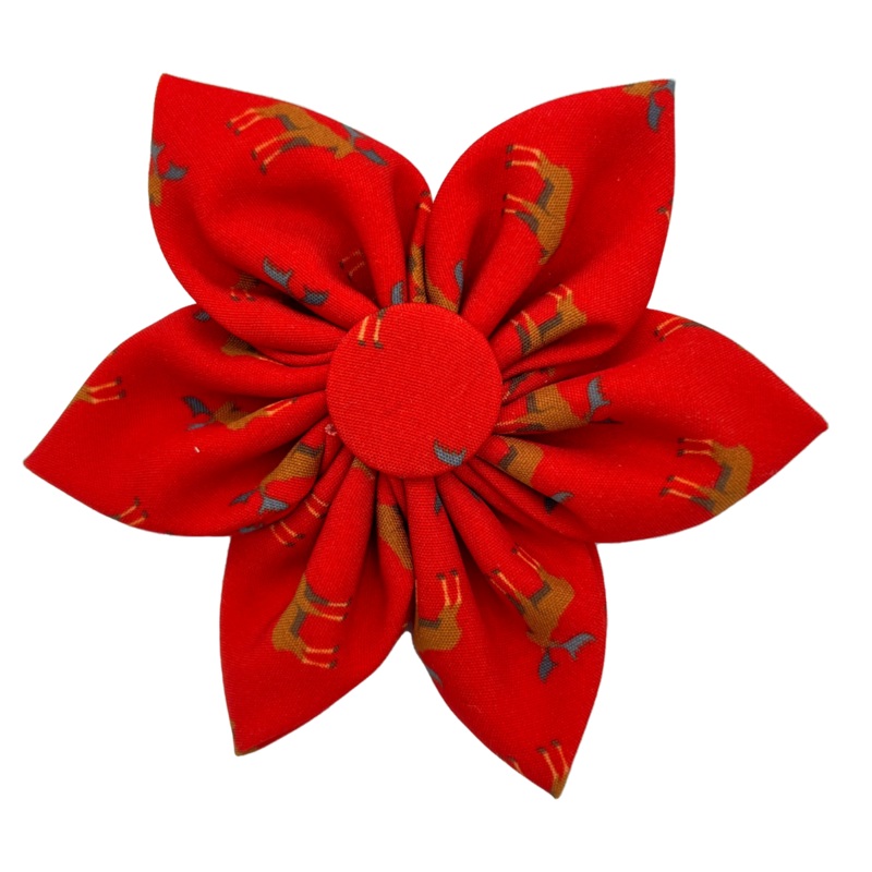 Huxley & Kent Moose Pinwheel for Dogs & Cats 4