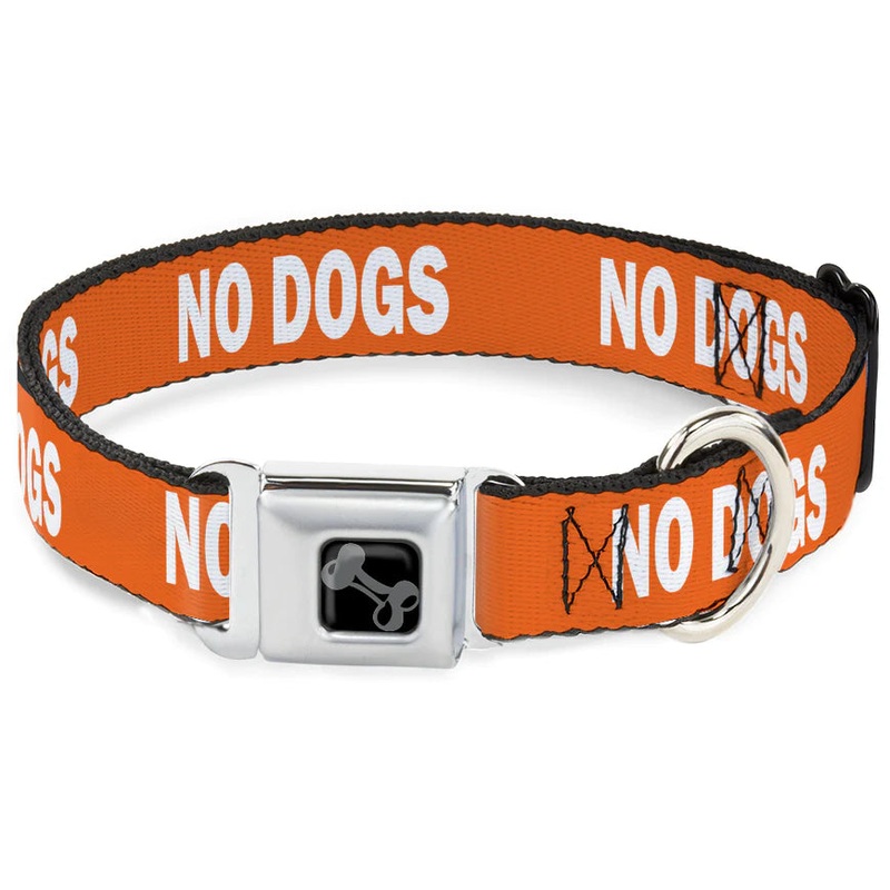 Buckle-Down Dog Bone Seatbelt Collar No Dogs WL 20-31