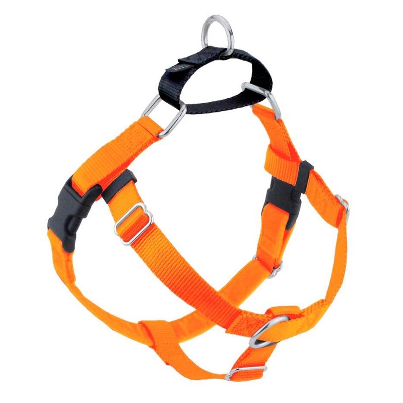 2 Hounds Design Neon Orange Freedom No-Pull 5/8 20-24 Small Dog Harness