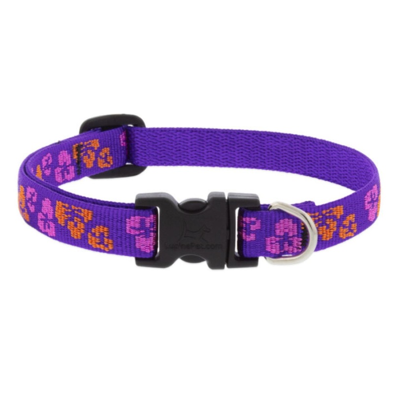 Lupine Adjustable Microbatch Dog Collar 1/2×10-16 Aloha