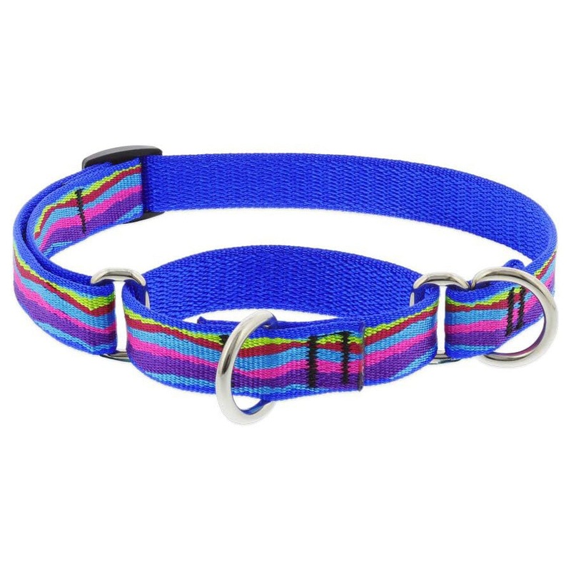 Lupine Dog Collar Combo 3/4 Wide X 14-20 Neck Size Ripple Creek
