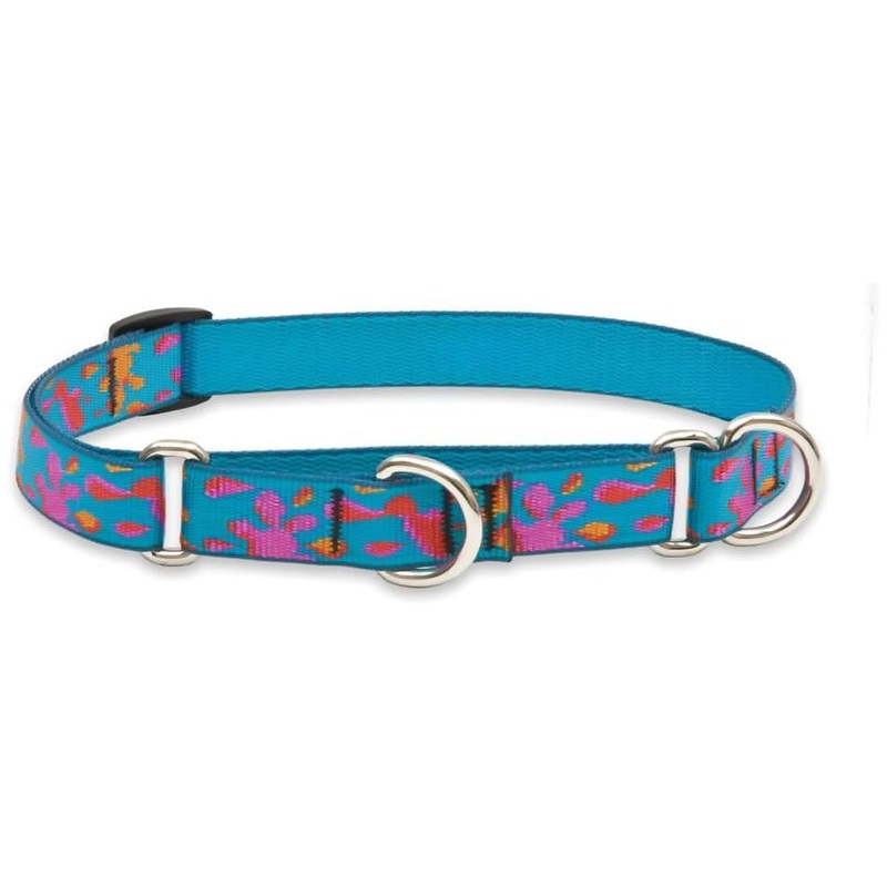 Lupine Martingale Dog Collar 3/4 Wide X 14-20 Neck Size Wet Paint