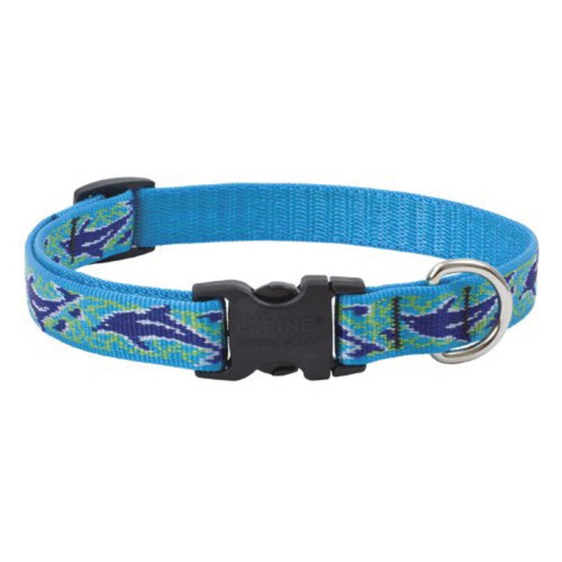Lupine Adjustable Dog Collar 3/4 Wide x 9-14Neck Size Dolphin Bay