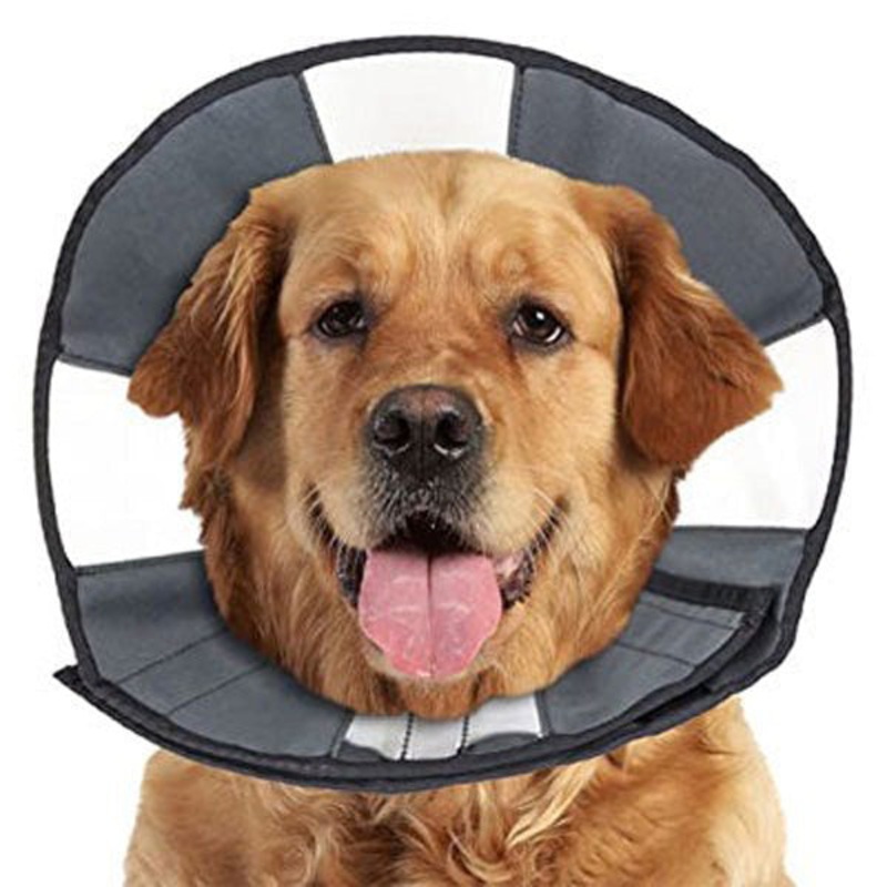 ZenPet ZenCone XL 18-23 Soft Recovery Collar