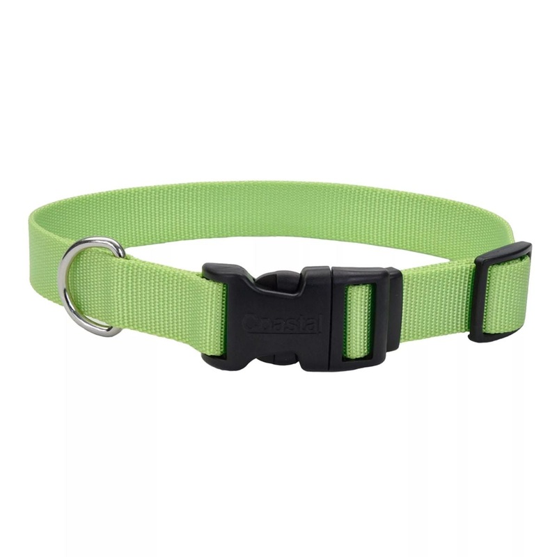 Coastal Adjustable Dog Collar with Plastic Buckle 1 x 18 – 26 Lime