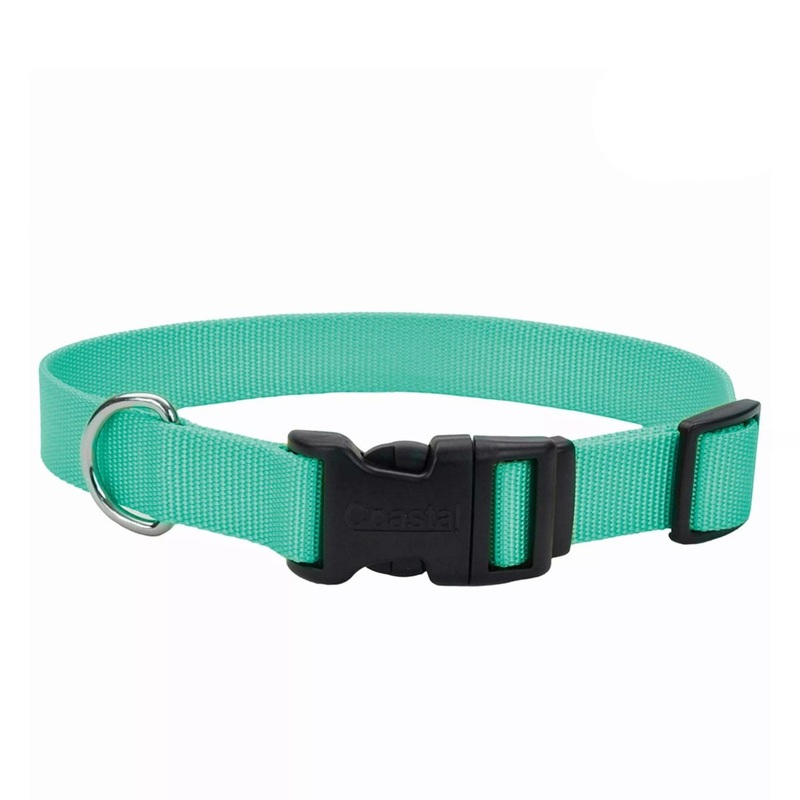 Coastal Adjustable Dog Collar with Plastic Buckle 1 x 18 – 26 Teal