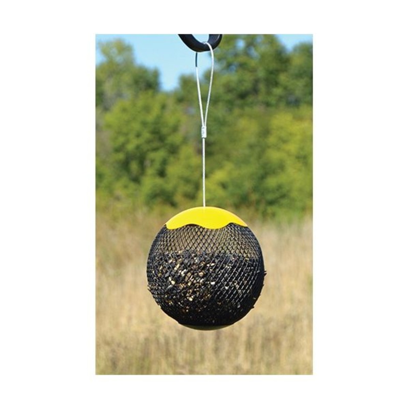 Gold Crest Yellow Seed Sphere