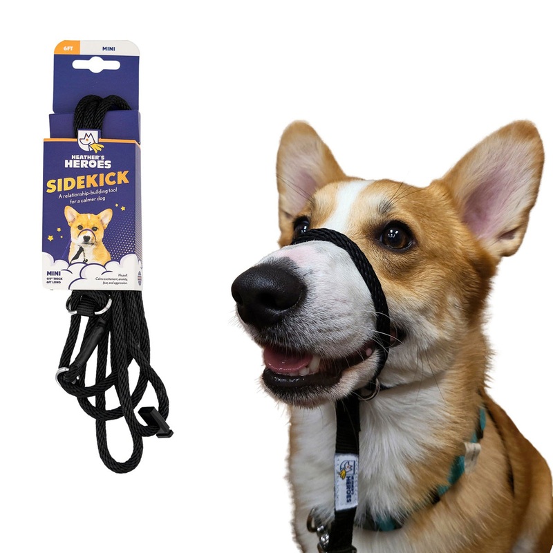 Heather’s Heroes Sidekick Mini Black Dog Leash 1/4 x 6′