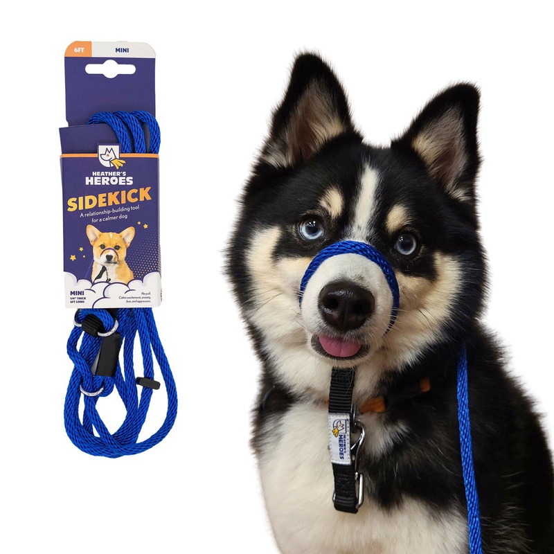 Heather’s Heroes Sidekick Mini Blue Dog Leash 1/4 x 6′