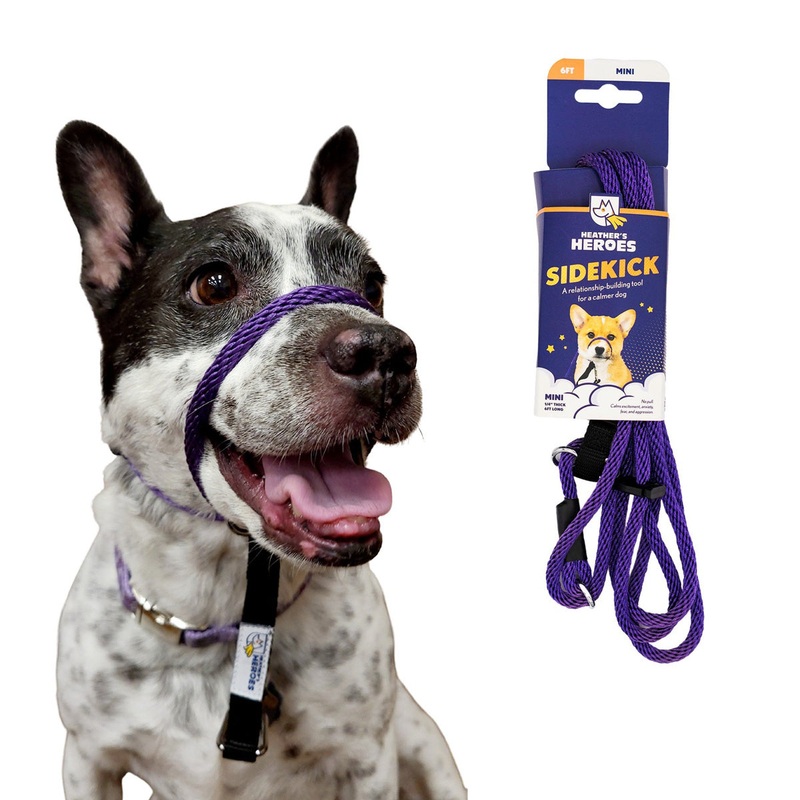 Heather’s Heroes Sidekick Mini Purple Dog Leash 1/4 x 6′