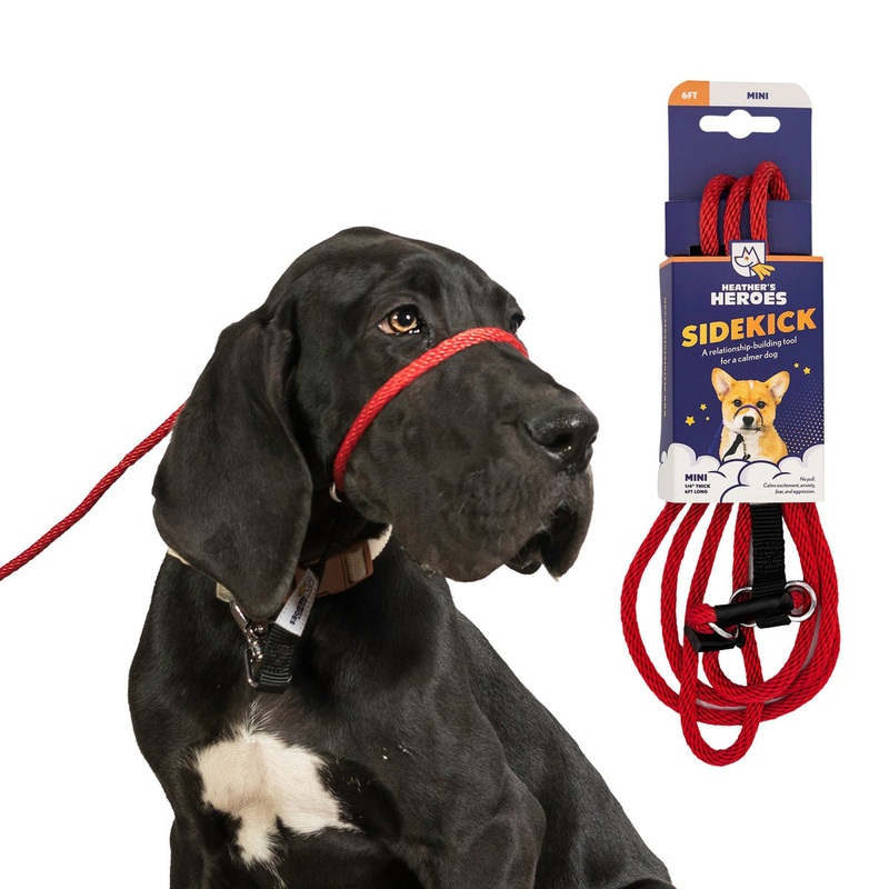 Heather’s Heroes Sidekick Mini Red Dog Leash 1/4 x 6′
