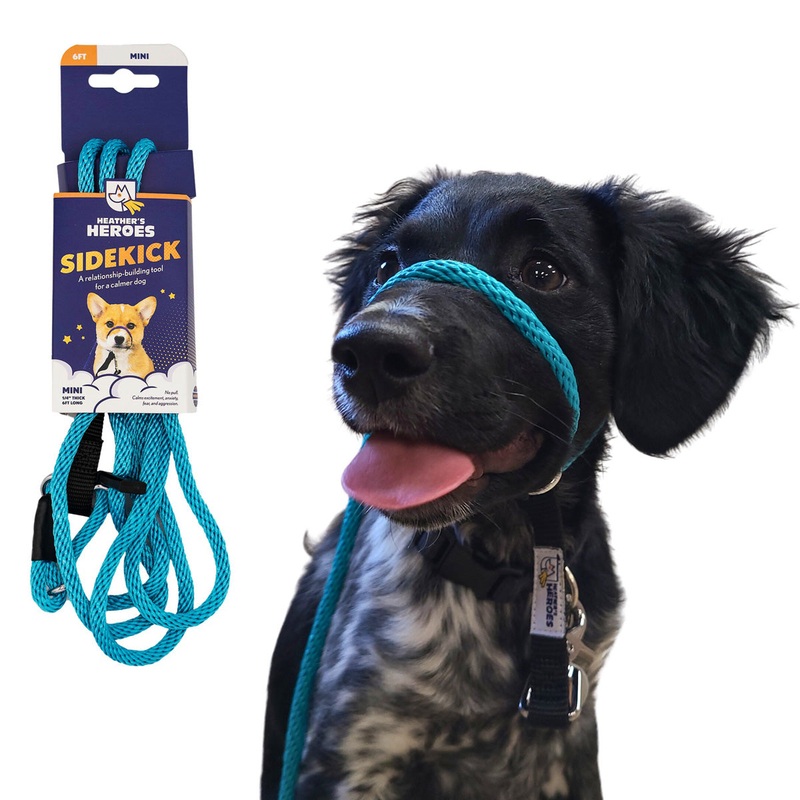 Heather’s Heroes Sidekick Mini Turquoise Dog Leash 1/4 x 6′