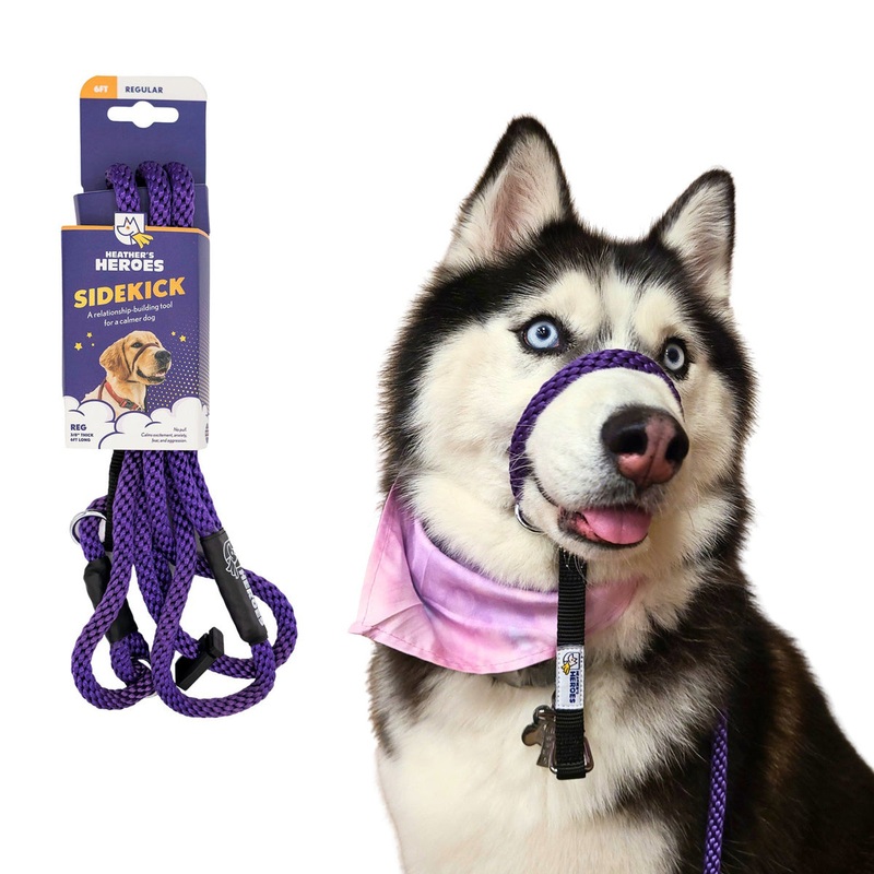 Heather’s Heroes Sidekick Regular 3/8 x 6′ Purple Dog Leash