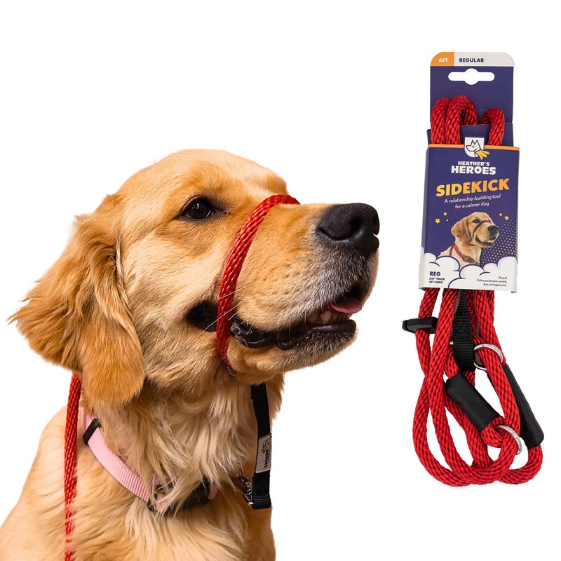 Heather’s Heroes Sidekick Regular Red Dog Leash 3/8 x 6′