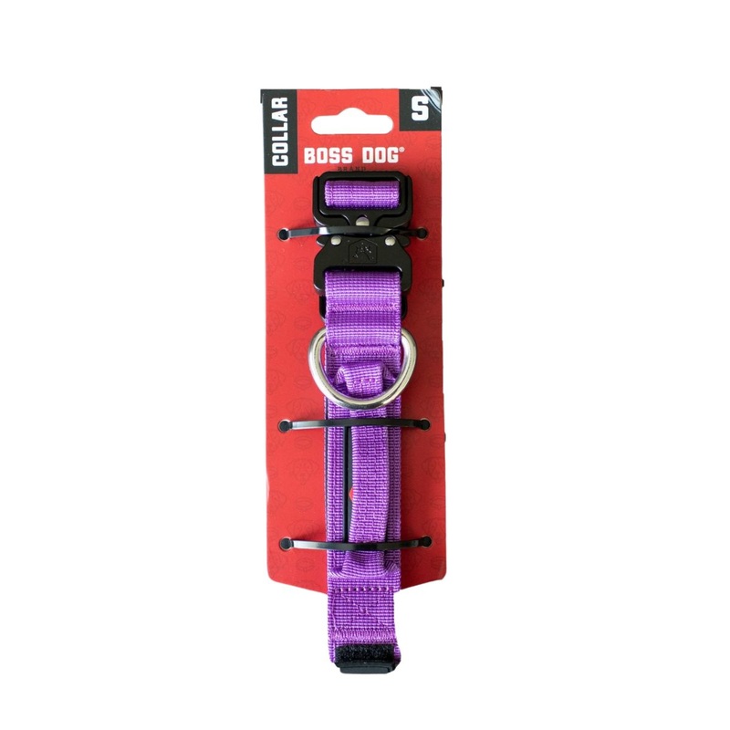 Boss Dog Collar Solid 1.2 Wide Small Purple