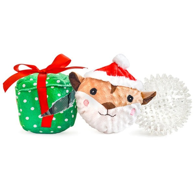 Patchwork Pet Squirrel In Present Prickle Ball 5 Dog Toy