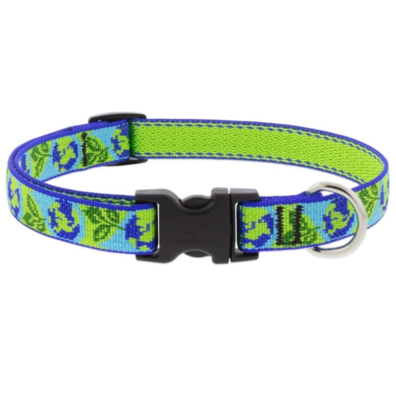 Lupine Dog Collar3/4×9-14 Earthday