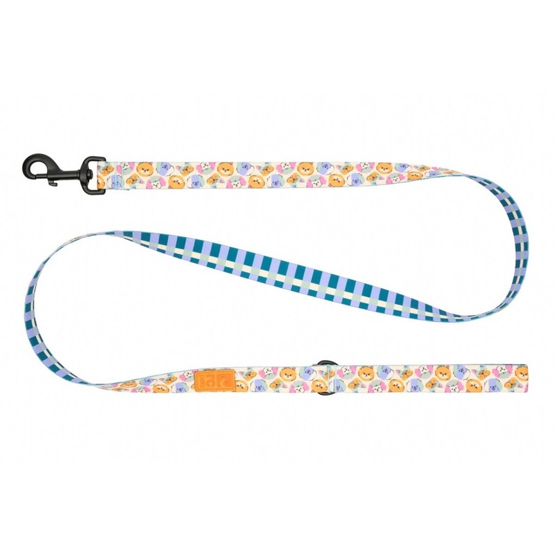 RC Pets Eco Dog Leash 1×5′ Pup-Moji Gridlock Weave