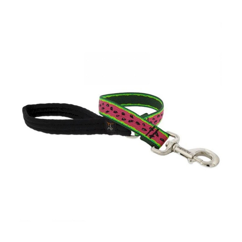 Dog Leash 1 Wide X 6′ Long Watermelon