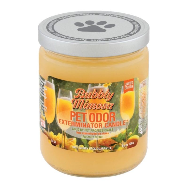 Pet Odor Exterminator Candle Bubbly Mimosa 13oz