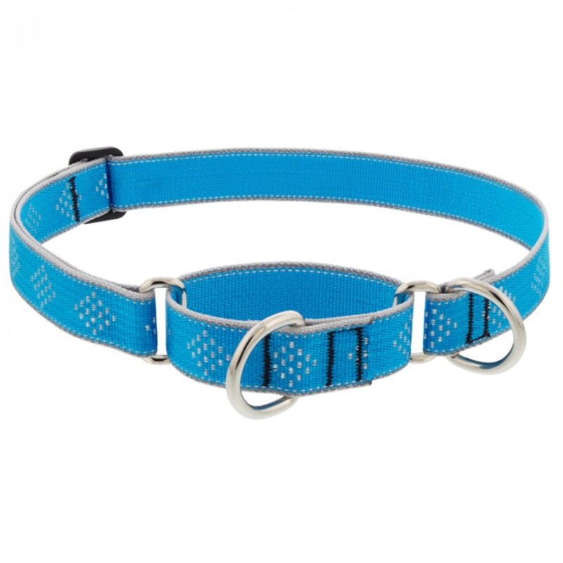 Lupine Dog Collar Martingale 1 Wide X 15-22 Neck Size Blue Diamond