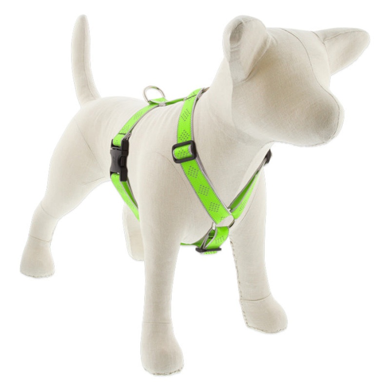 Lupine Reflective Roman Dog Harness 1 Wide 20-32 Girth Green Diamond
