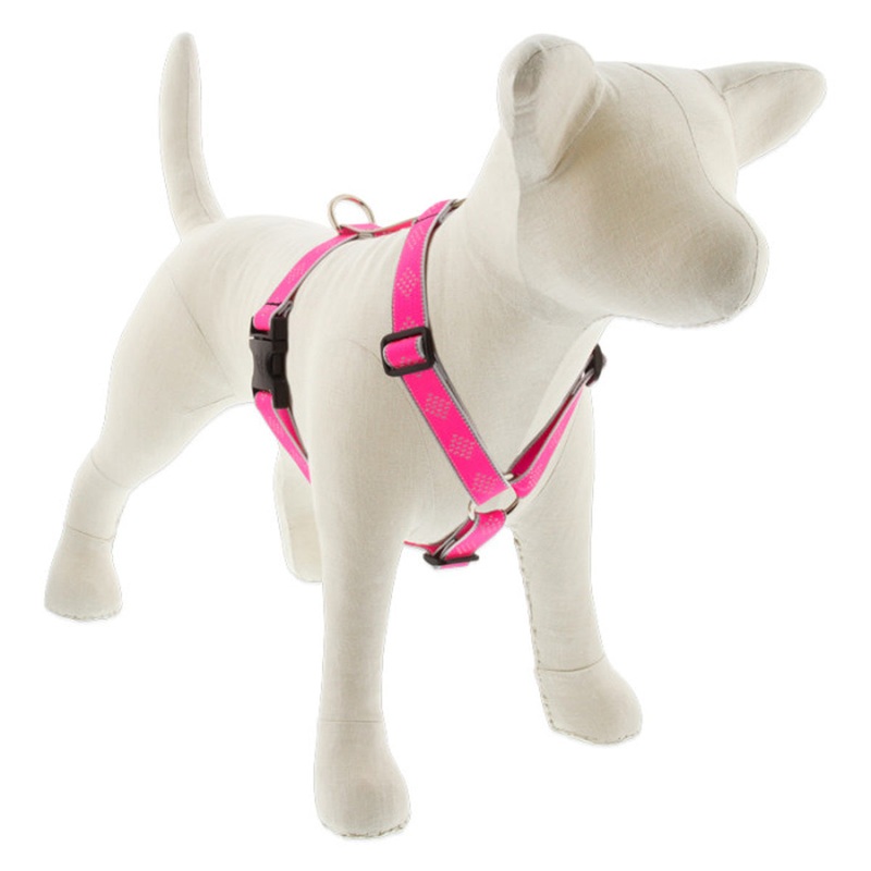Lupine Reflective Roman Dog Harness 1 Wide 20-32 Girth Pink Diamond