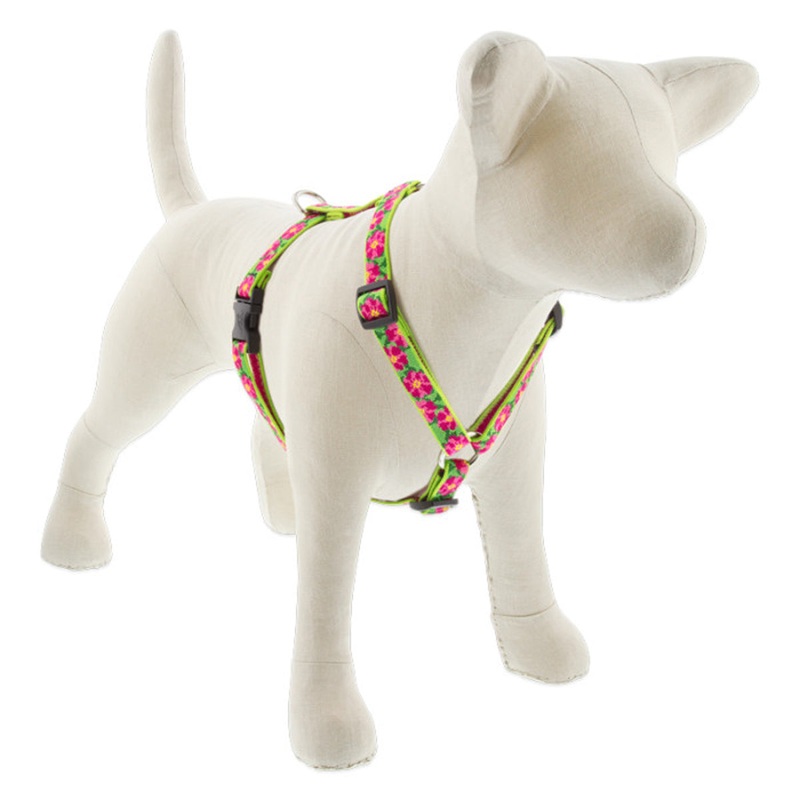LUPINE Roman Dog Harness 3/4 Wide 20-32 Girth Size Petunias