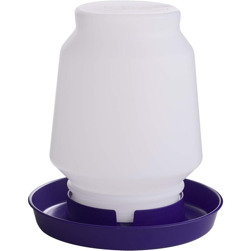 Little Giant Purple Plastic Poultry Fount for Birds 1gal