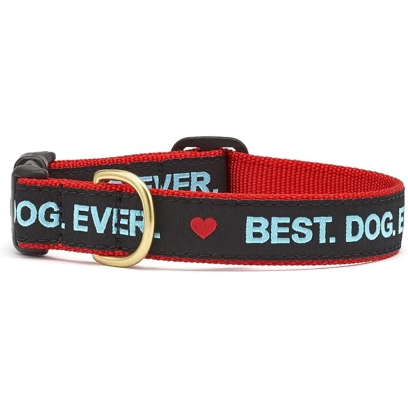 Up Country Best Dog Ever Collar Small (9-15) 5/8
