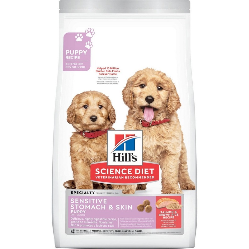 Hill’s Science Diet Puppy Sensitive Stomach & Skin Salmon & Brown Rice Dry Dog Food 4lb