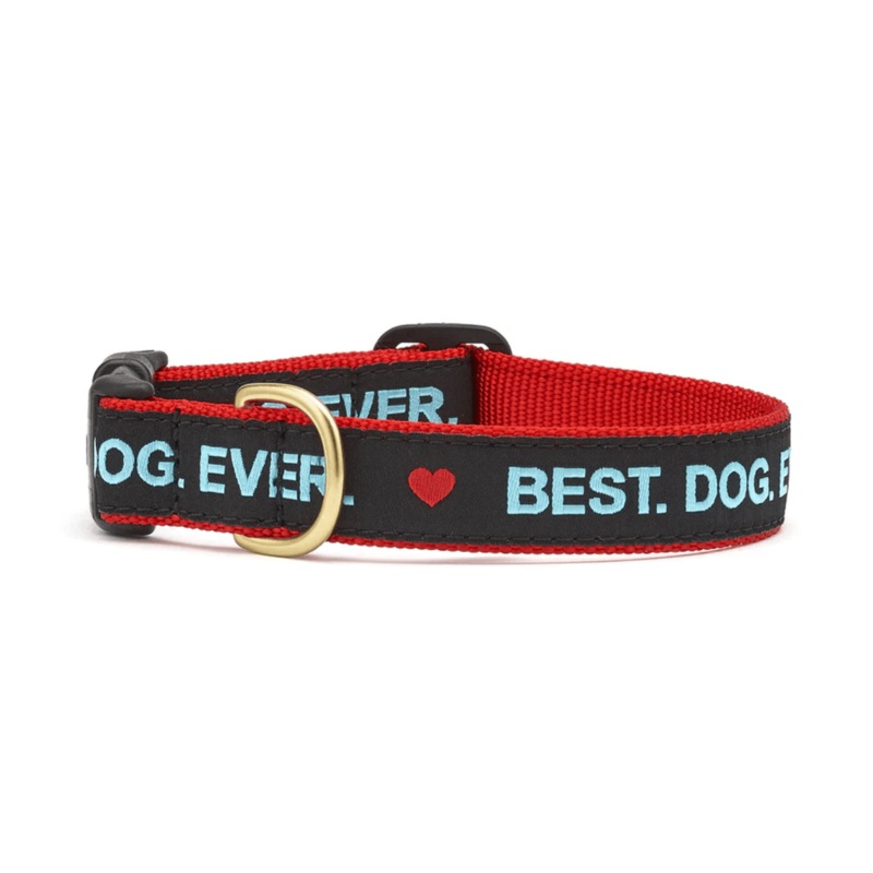 Up Country Best Dog Ever Dog Collar X-Large 18-24/1