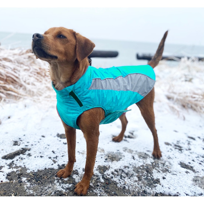 Bay Dog Saginaw Fleece XL AQUA Extra large 32-42