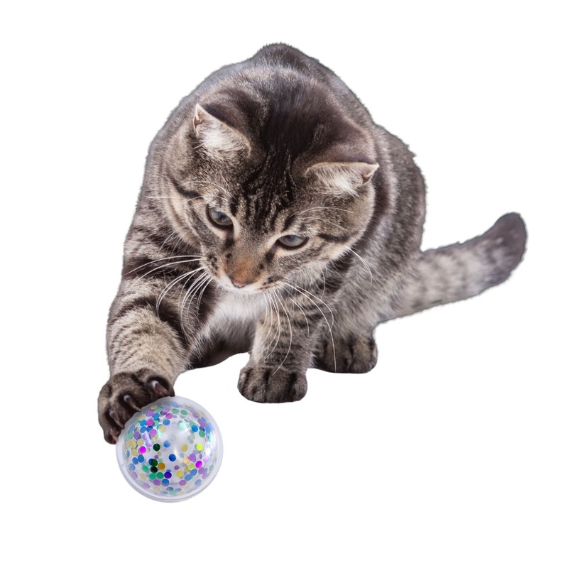 Kong Cat Active Confetti Ball