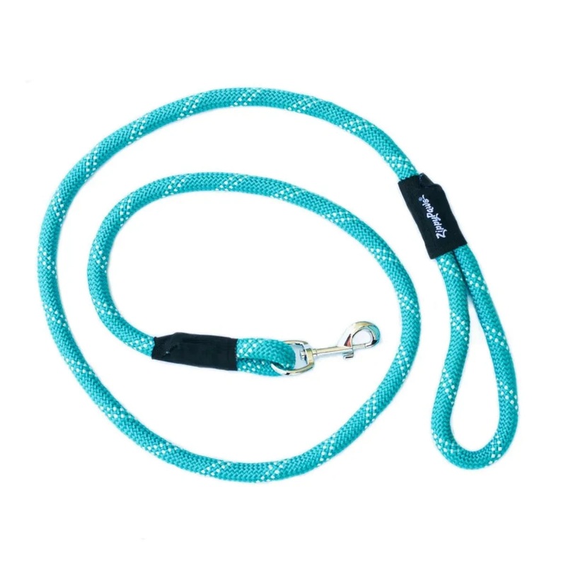 The ZippyPaws CLIMBERS Teal Dog Leash, 6 Feet