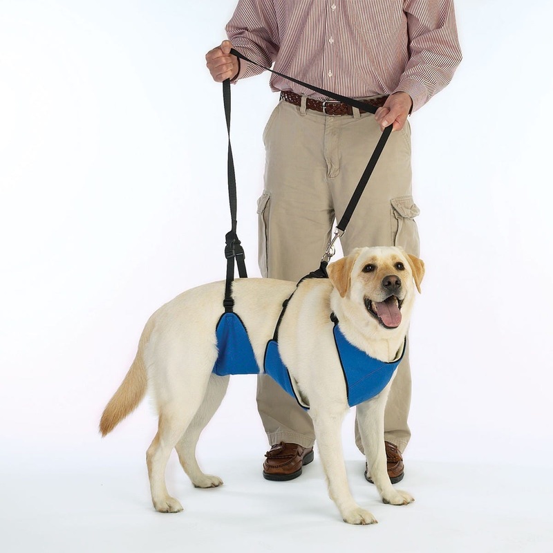 Total Pet Health Lift & Lead 4 in 1 Extra Large