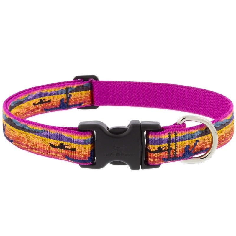 Lupine Golden Pond 1 x 12-20 Adjustable Collar