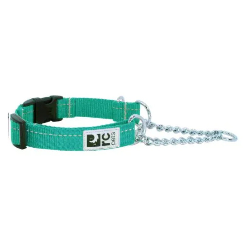 RC PETS Primary Training Clip Dog Collar, Parakeet, Large, 1x 18-26
