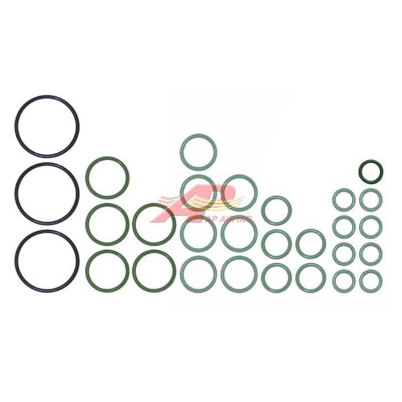 Cnh Single Application O-Ring Kit for Case IH