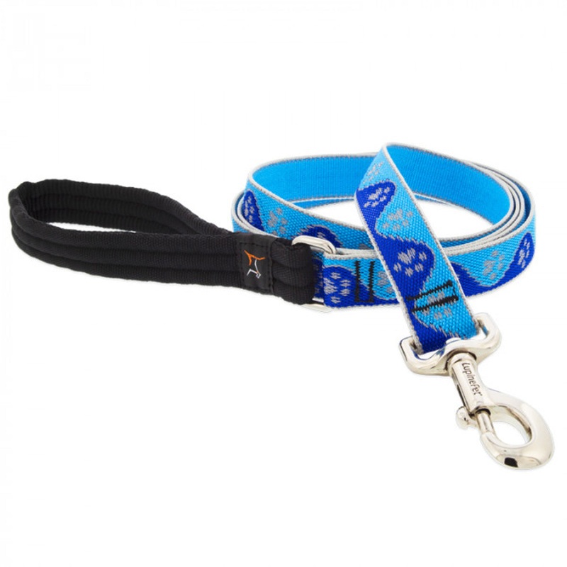 Lupine Dog Leash 1 Width X 4′ Length High Lights Blue Paws