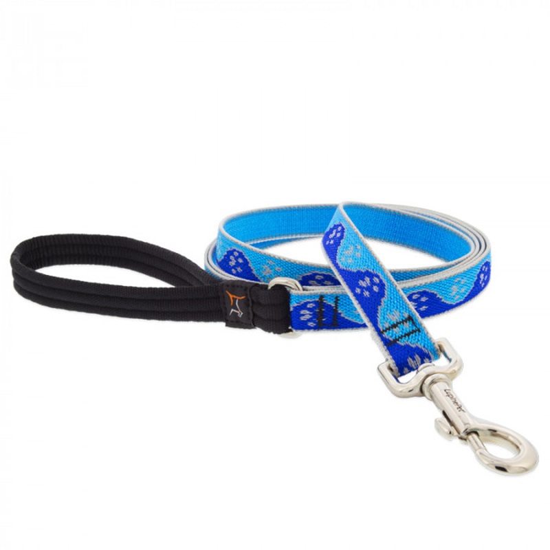 Lupine Dog Leash 3/4 Width X 4′ Length High Lights Blue Paws