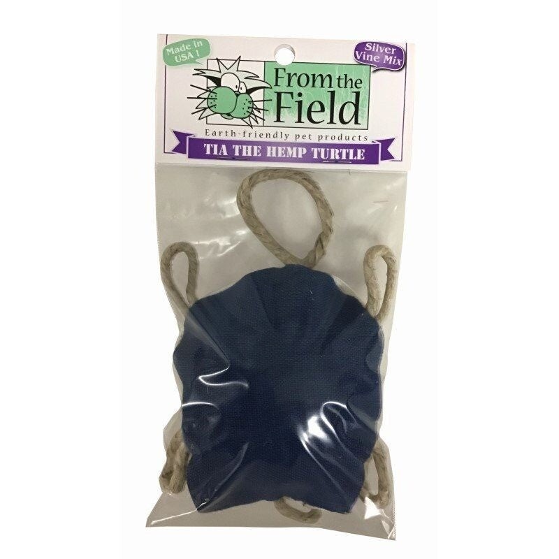 From The Field Tia the Hemp Turtle